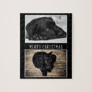 Puzzle Chien noir blanc Chien Chien Chien Chien Chien 2 P