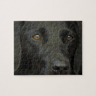 Puzzle Chien noir de Labrador