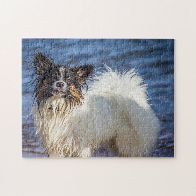 Puzzle Chien Papillon. (Horizontal)