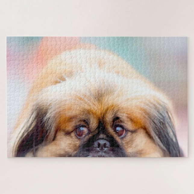 Puzzle Chien Pékinois. (Horizontal)