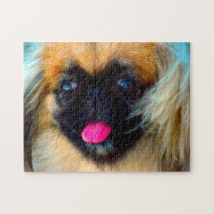 Puzzle Chien Pékinois.