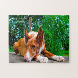 Puzzle Chien Pharaon.