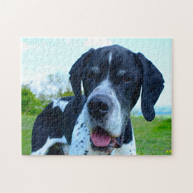 Puzzle Chien Pointeur Anglais. (Horizontal)