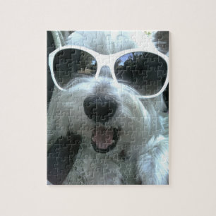 Puzzle Chien portant des lunettes de soleil