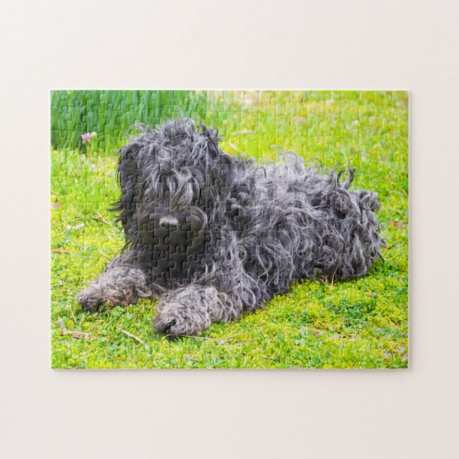 Puzzle Chien Puli Hongrois. (Horizontal)