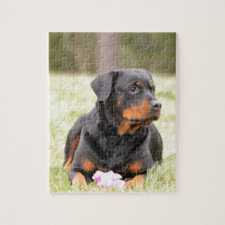 Puzzle Chien Rottweiler