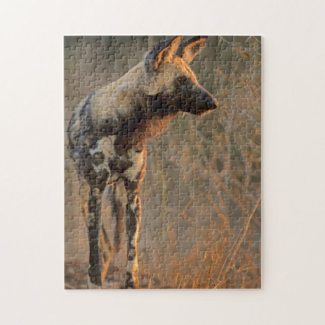 Puzzle Chien sauvage africain (Lycaon Pictus), Kruger (Vertical)