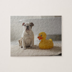 Puzzle Chien sur tapis avec canard en plastique