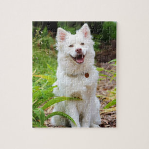 Puzzle Chien Sweet White Lapp Hund Photo sur Fond Vert