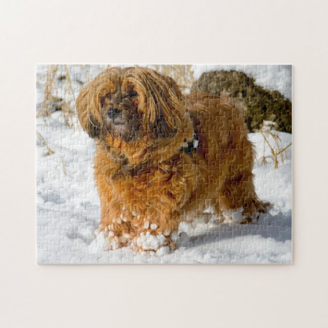 Puzzle Chien Tibétain Terrier Jigsaws. (Horizontal)