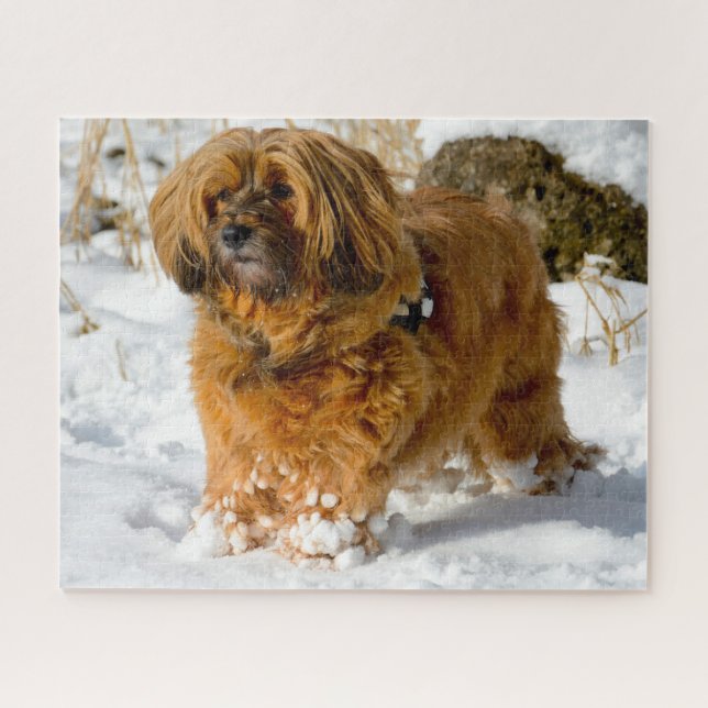 Puzzle Chien Tibétain Terrier Jigsaws. (Horizontal)