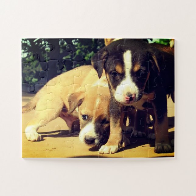 Puzzle Chiens (Horizontal)