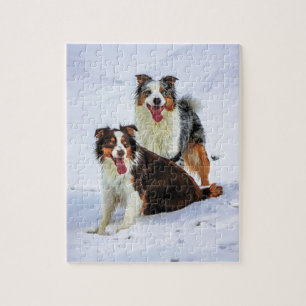 Puzzle Chiens australiens de couples de berger