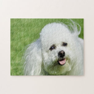 Puzzle Chiens Bichon Frise.