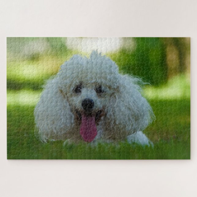 Puzzle Chiens Caniches. (Horizontal)