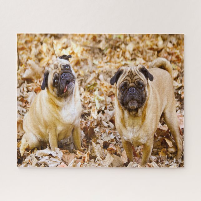 Puzzle Chiens carlins. (Horizontal)