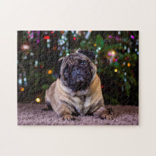 Puzzle Chiens carlins.