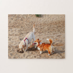 Puzzle chiens cool sur la plage