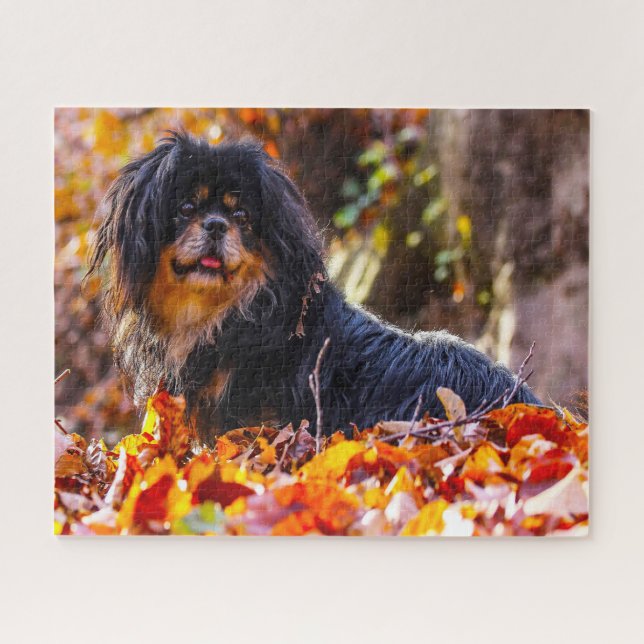 Puzzle Chiens Espagnols Tibétains Jigsaws. (Horizontal)