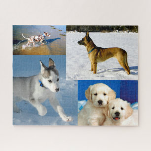 Puzzle Chiens heureux