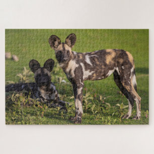 Puzzle Chiens Sauvages d'Afrique en Tanzanie