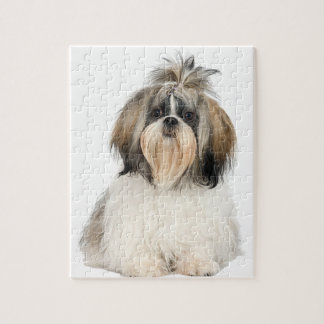 Puzzle Chih Tzu