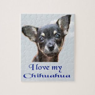 Puzzle Chihuahua