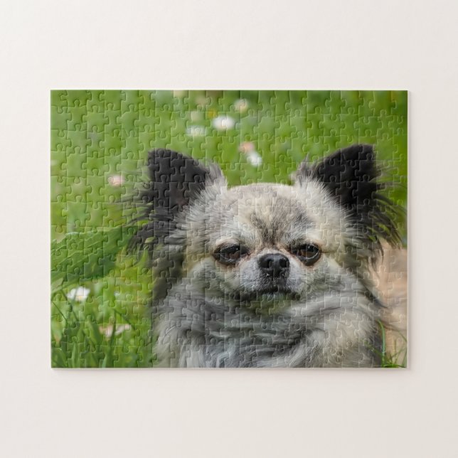 Puzzle Chihuahua Chiens. (Horizontal)
