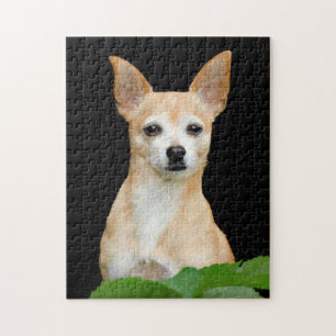 Puzzle Chihuahua Tan Tan Black Art Portrait d'animaux