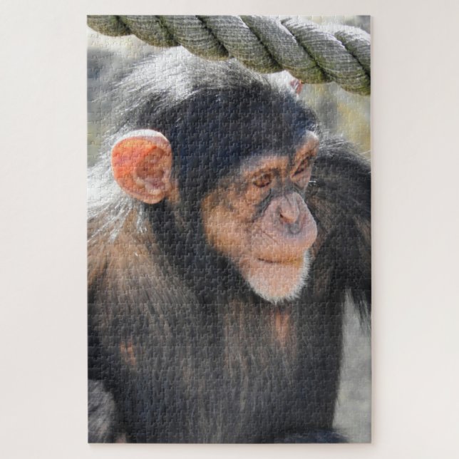 Puzzle Chimpanzé (Vertical)