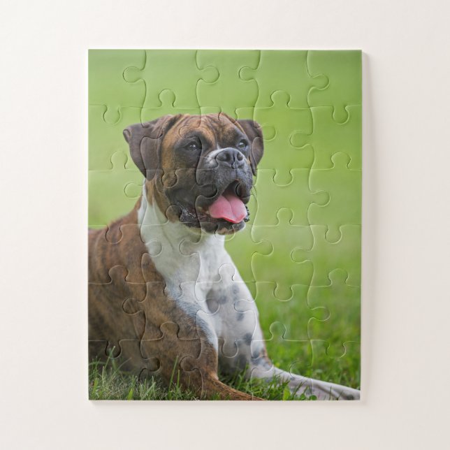 Puzzle Chiot 2 de boxeur (Vertical)