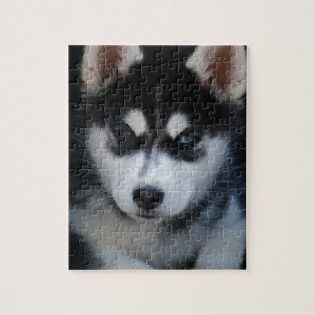 Puzzle Chiot adorable de chien de traîneau de chien de (Vertical)