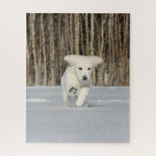 Puzzle Chiot blanc Golden Retriever en neige