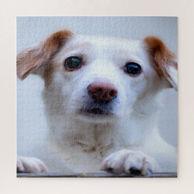 Puzzle Chiot Blanc Mignon (Vertical)