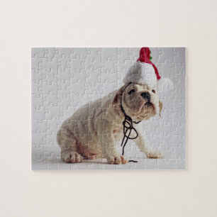 Puzzle Chiot de bouledogue utilisant le casquette de Père