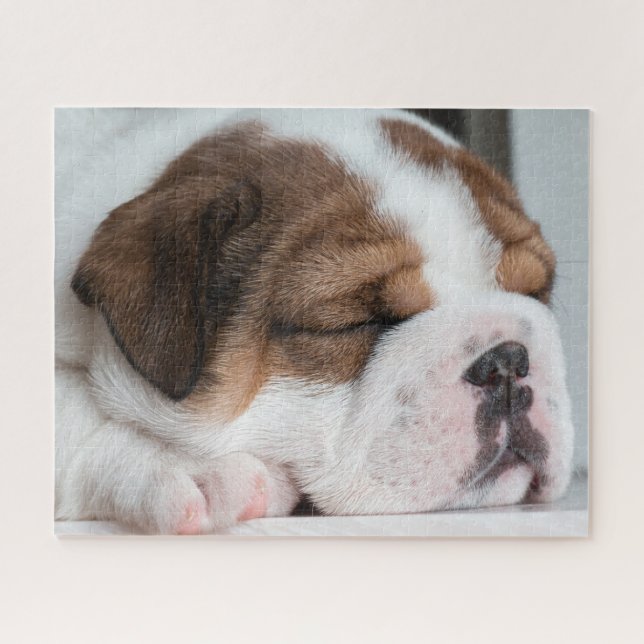 Puzzle Chiot de Buldog anglais endormi (Horizontal)