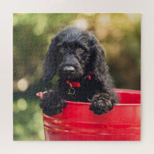 Puzzle Chiot de chien noir dans un seau rouge
