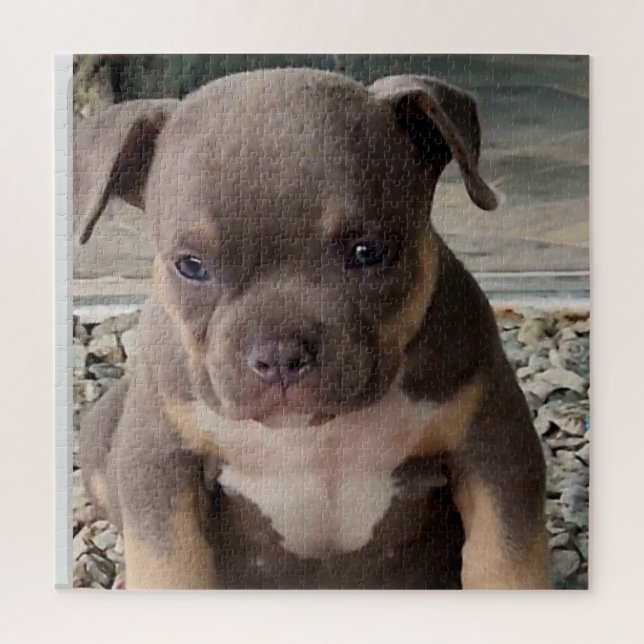 Puzzle Chiot de race brute (Vertical)