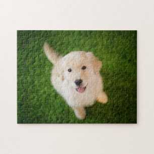 Puzzle Chiot d'or rétriever sur l'herbe