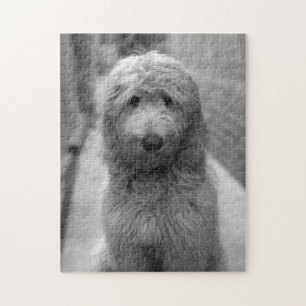 Puzzle Chiot Goldendoodle en Jardin