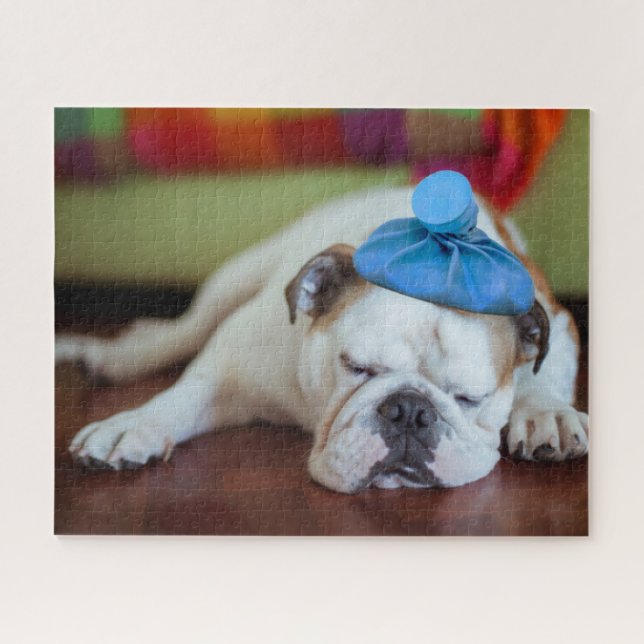 Puzzle Chiot malade des images | de Getty jeune (Horizontal)
