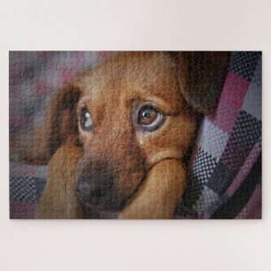 Puzzle Chiot mignon