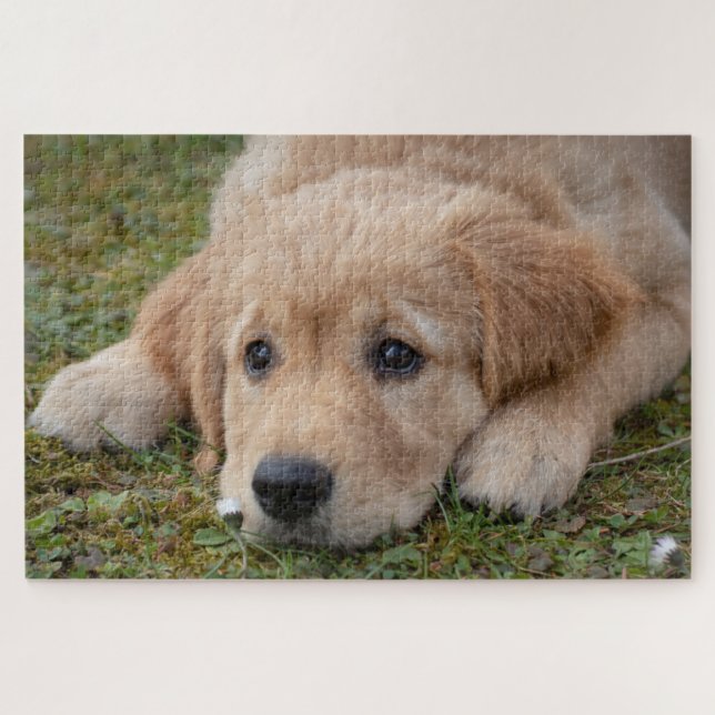 Puzzle Chiot mignon (Horizontal)