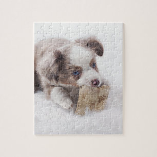Puzzle chiot rouge australien de merle