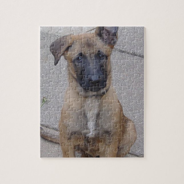 Puzzle chiot sitting.png de malinois (Vertical)