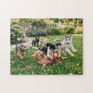 Puzzle Chiots mignons et joueurs dans la cour