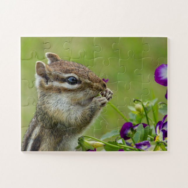 Puzzle Chipmunk (Horizontal)