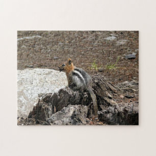 Puzzle Chipmunk à Yosemite, Californie