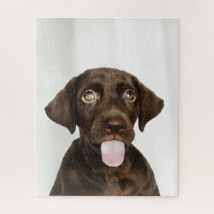 Puzzle Chocolat Brown Lab Puppy