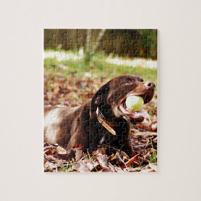 Puzzle Chocolat Labrador Jouer Avec Ball (Vertical)
